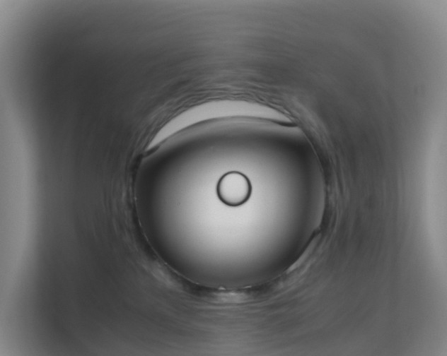 X0000111630233200907241057