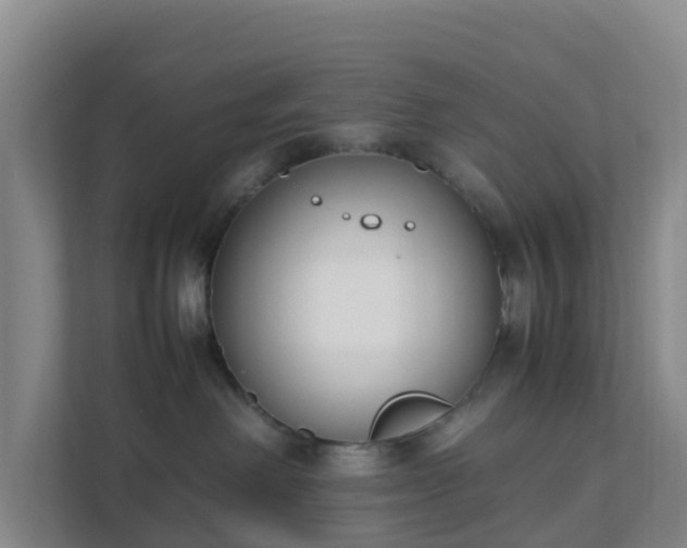 X0000111630238200907241057