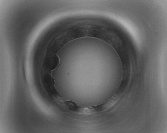 X0000111630239200907241057