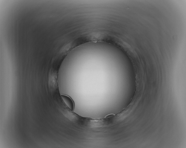 X0000111630240200907241057