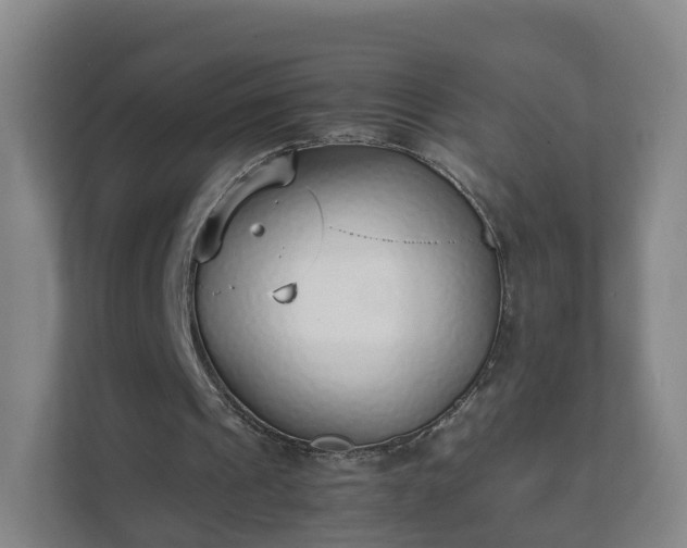 X0000111630241200907241056