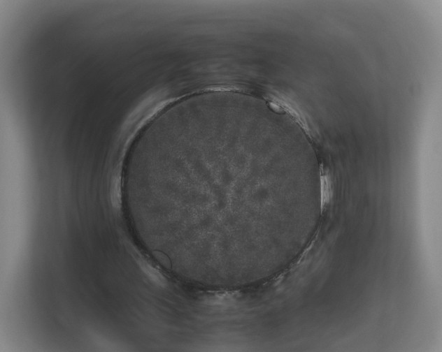 X0000111630243200907241056