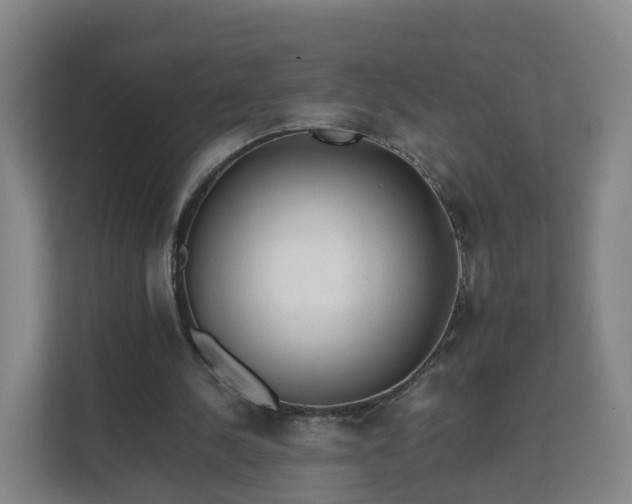 X0000111630244200907241056