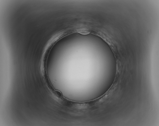 X0000111630245200907241056