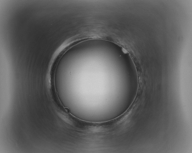 X0000111630246200907241056