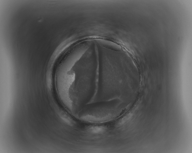 X0000111630247200907241056