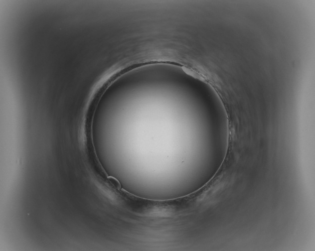 X0000111630248200907241056