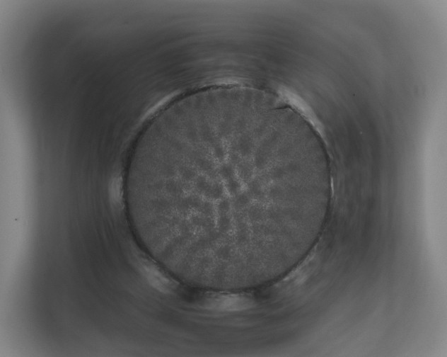 X0000111630249200907241056