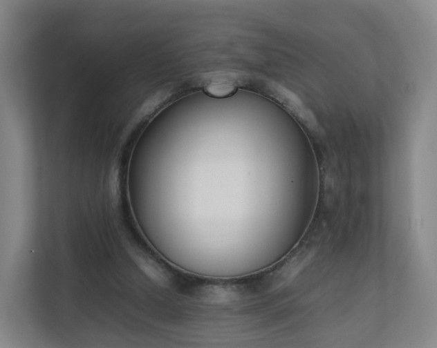 X0000111630250200907241056