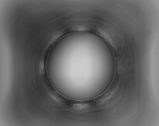 X0000111630251200907241056