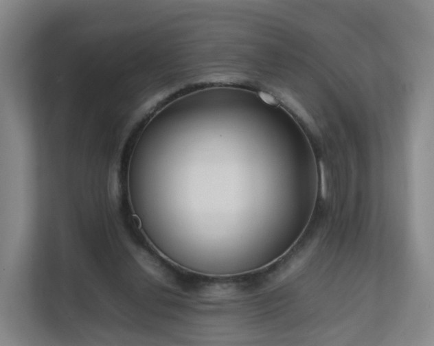 X0000111630252200907241056