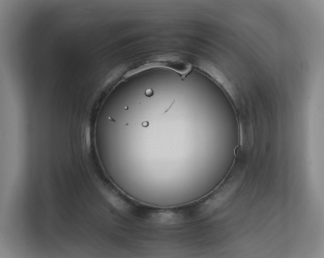 X0000111630253200907241056