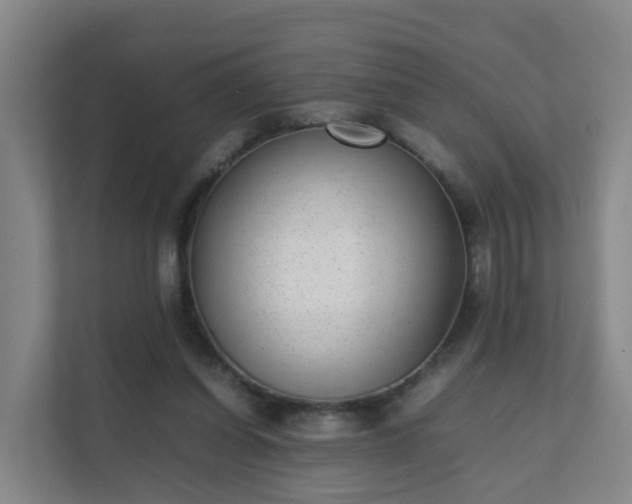 X0000111630254200907241056