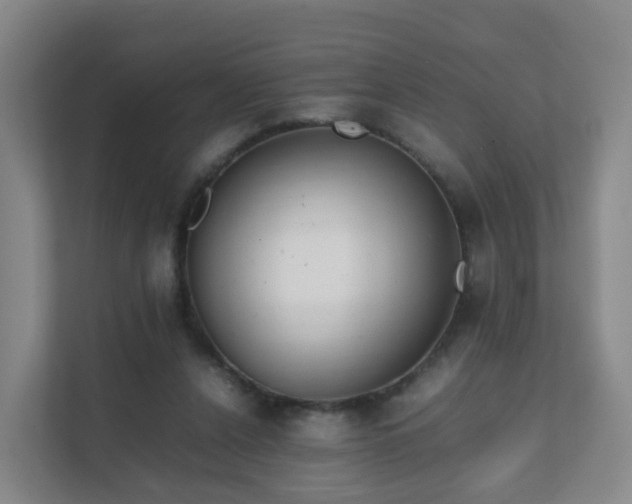 X0000111630256200907241056