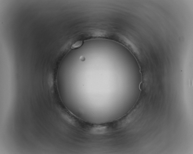 X0000111630257200907241056