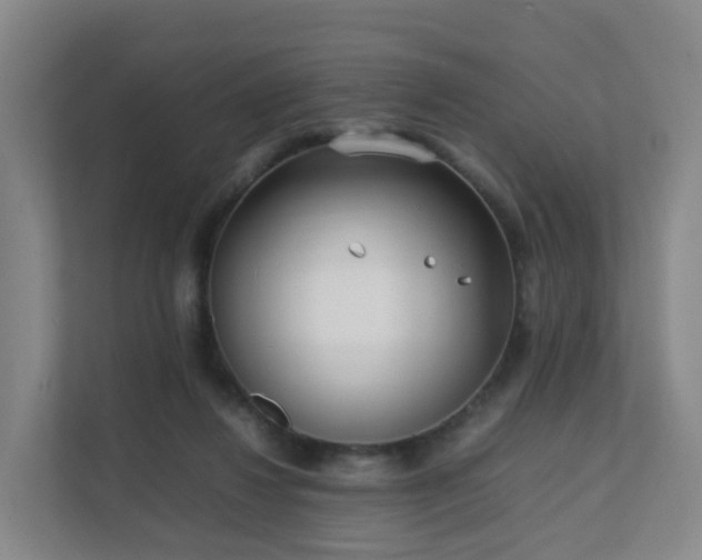 X0000111630260200907241056