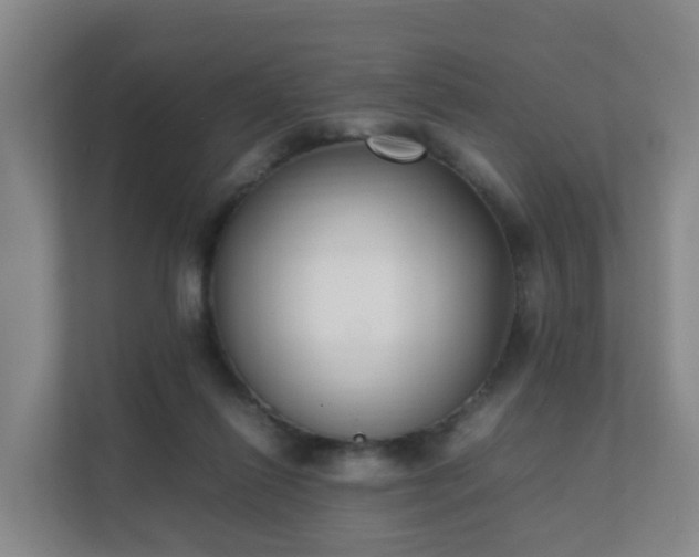 X0000111630262200907241056