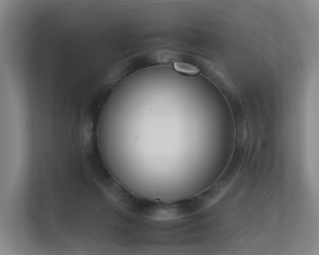 X0000111630263200907241056