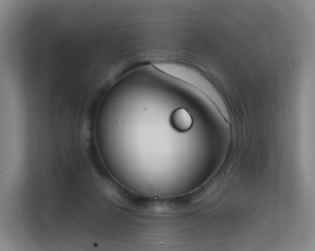 X0000111630264200907241056