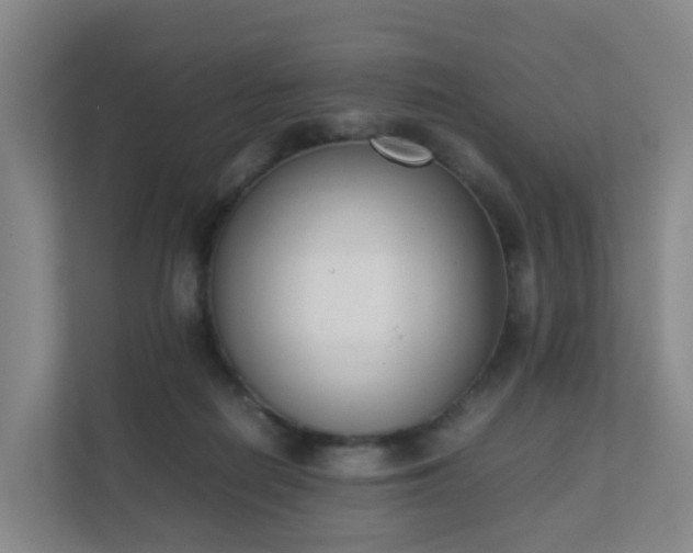 X0000111630266200907241056