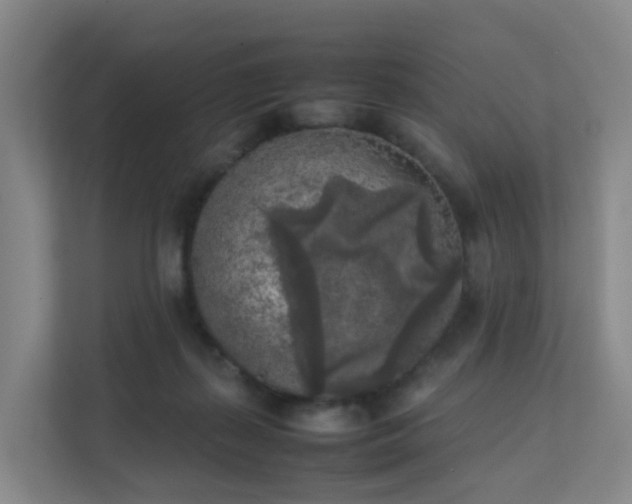 X0000111630267200907241056