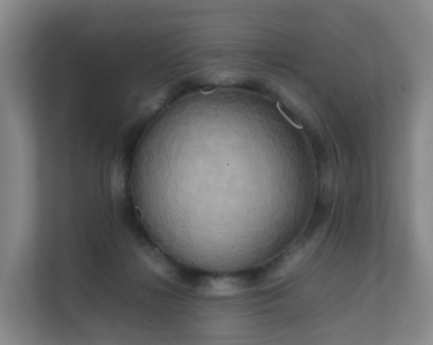 X0000111630268200907241056