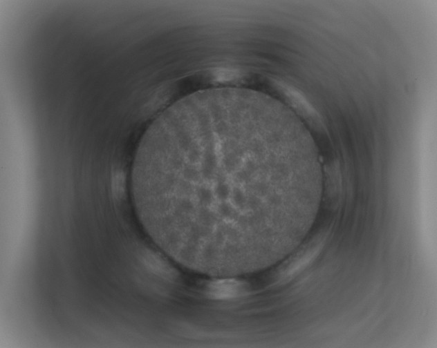 X0000111630269200907241056