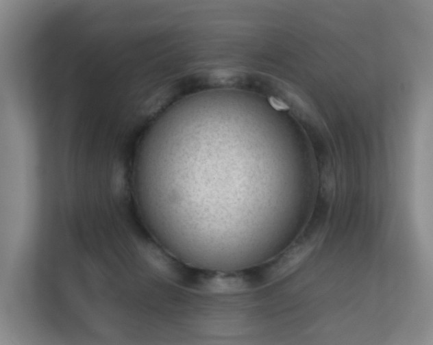 X0000111630270200907241056