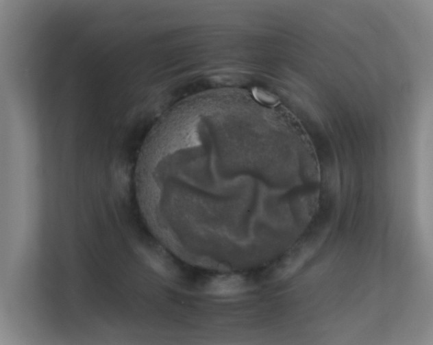 X0000111630271200907241056