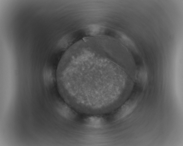 X0000111630272200907241056