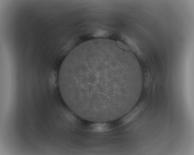 X0000111630273200907241056