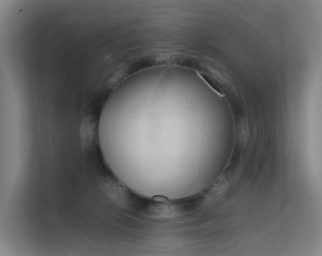 X0000111630276200907241056