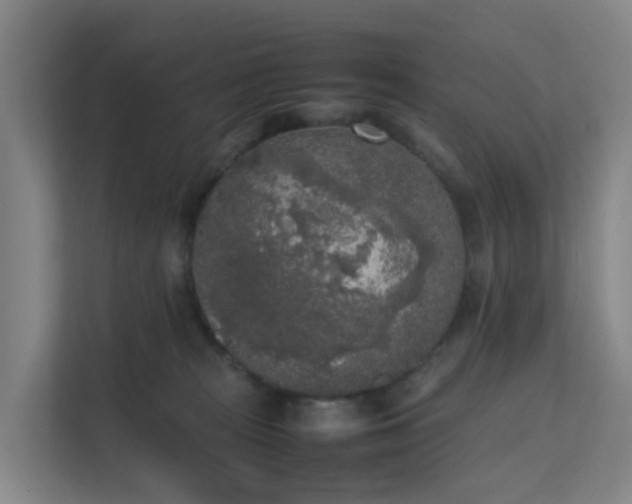 X0000111630277200907241056