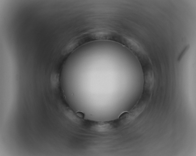 X0000111630278200907241056