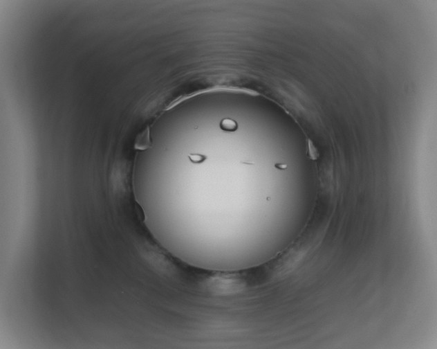 X0000111630280200907241056