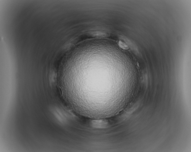 X0000111630281200907241056