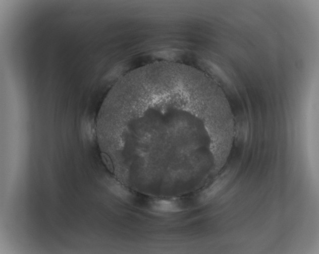 X0000111630285200907241056