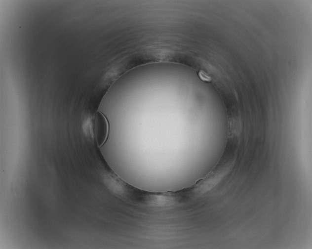 X0000111630286200907241056