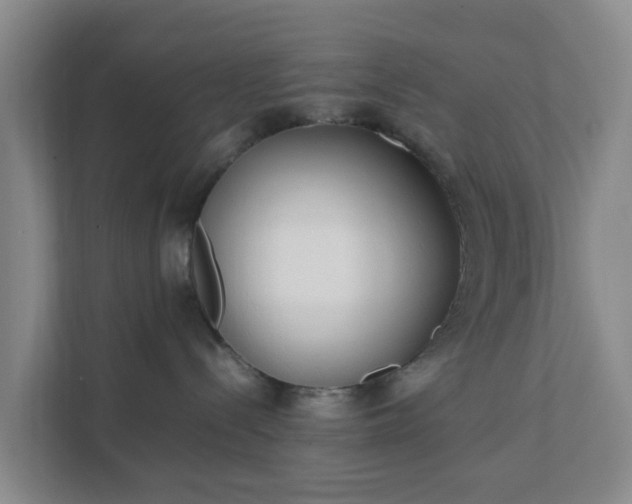 X0000111630288200907241057