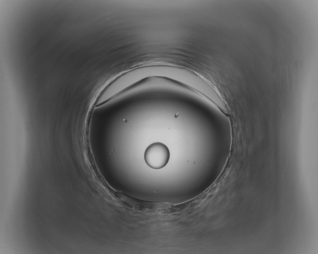 X0000111630289200907241056