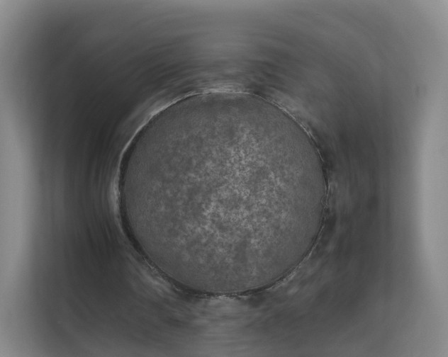 X0000111630290200907241056