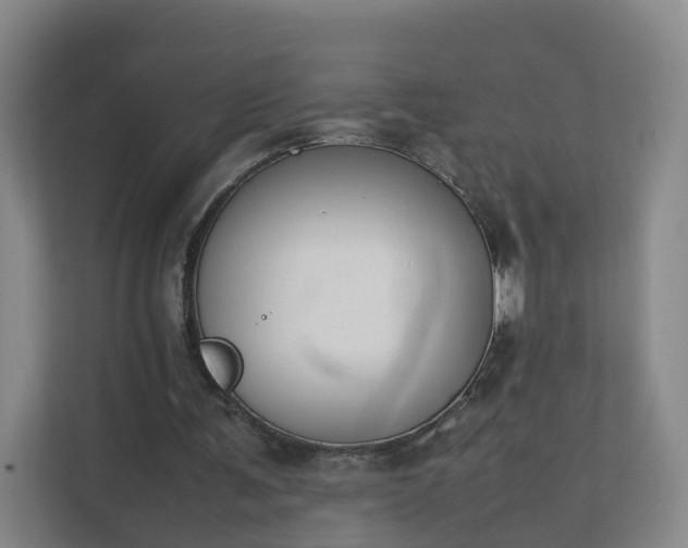 X0000111630291200907241056