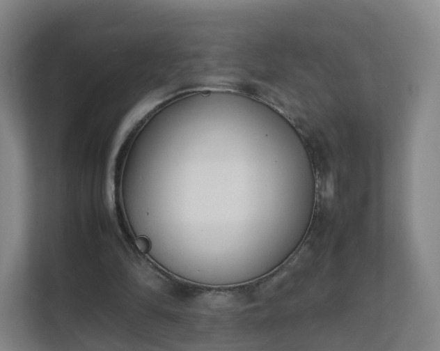 X0000111630294200907241056