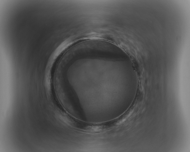 X0000111630295200907241056