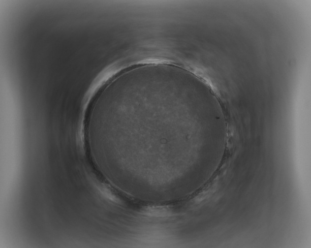 X0000111630296200907241056