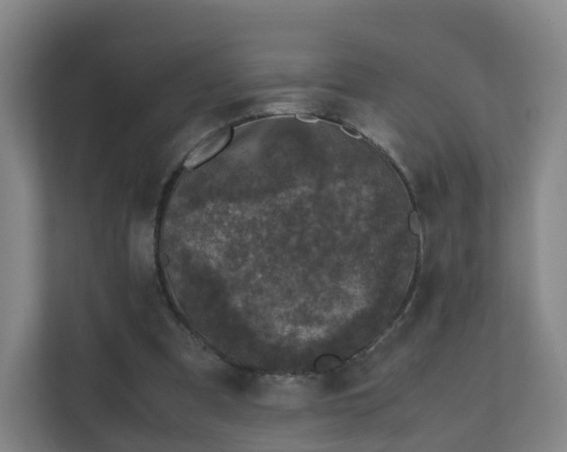 X0000111630297200907241056