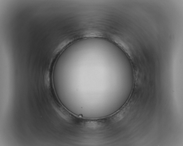 X0000111630298200907241056