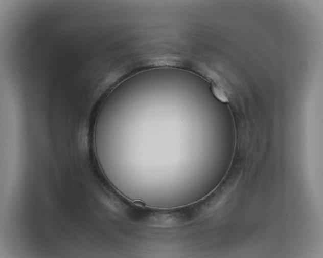 X0000111630299200907241056