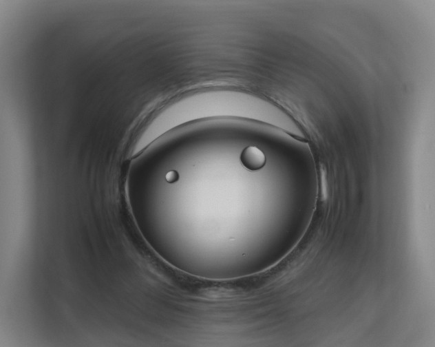 X0000111630300200907241056