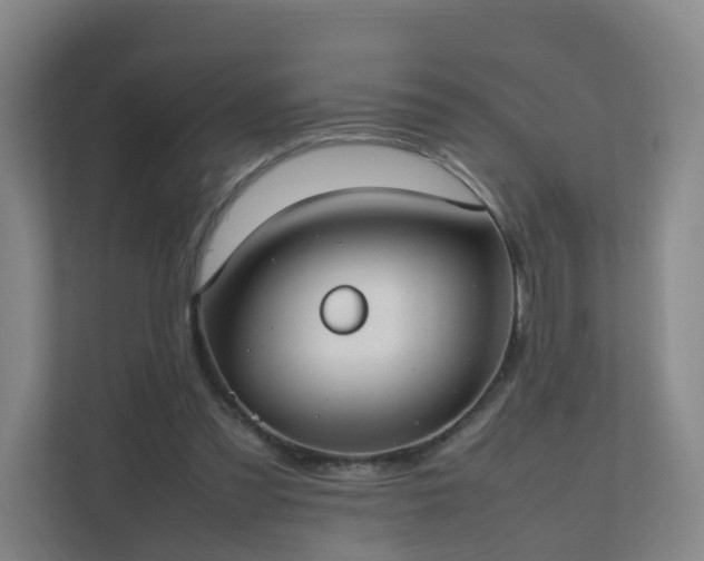 X0000111630301200907241056